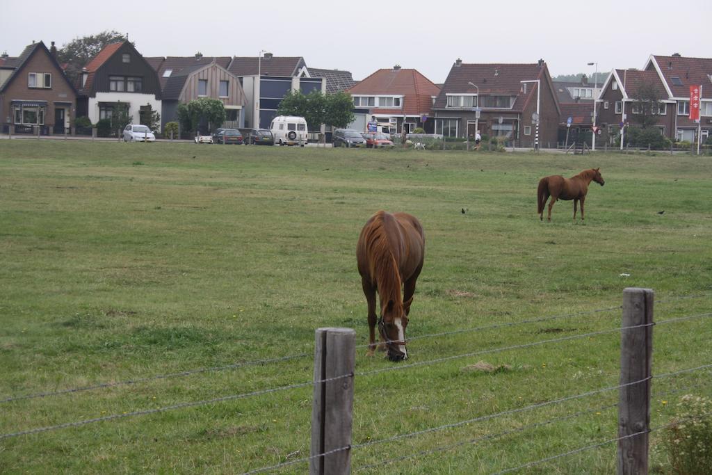 Villa 'T Haasduin Wijk aan Zee Exterior foto
